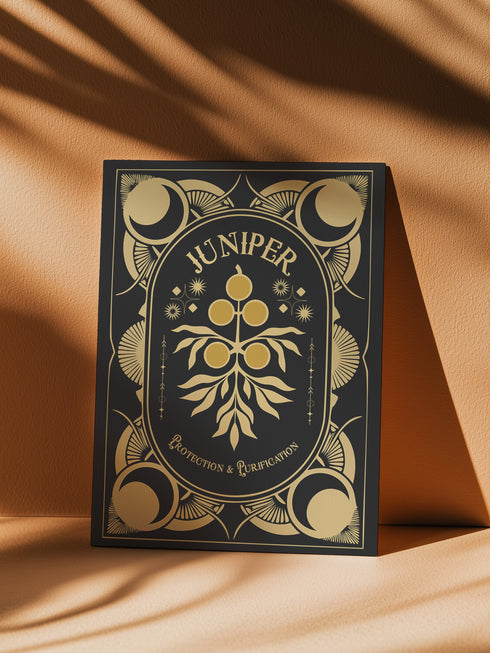 Juniper-themed holiday ritual card featuring a gold-stylized juniper branch with celestial accents on the front and an inside message detailing juniper's historical significance in magical practices, along with instructions for New Year's Eve and Full Moon rituals focused on protection and purification.